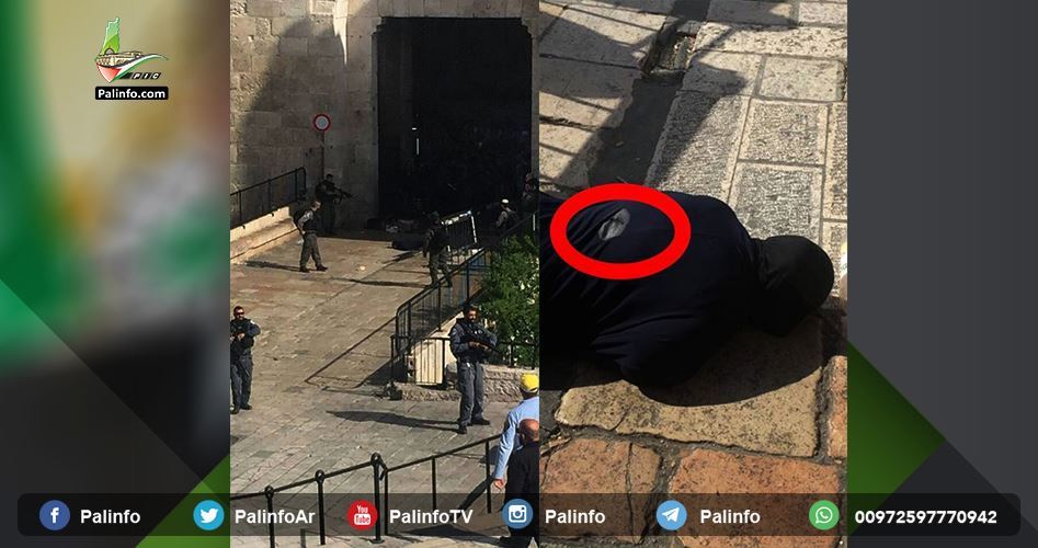شهادت مادر شهید "مصطفی نمر" به ضرب گلوله عناصر پلیس رژیم صهیونیستی شهادت مادر شهید “مصطفی نمر” به ضرب گلوله عناصر پلیس رژیم صهیونیستی